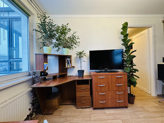 Фото квартиры по адресу Санкт-Петербург г, Коллонтай ул, д. 2