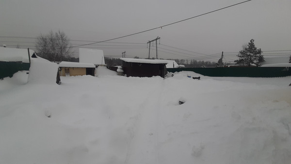 Объект по адресу Москва, Тюльпан тер, 45 