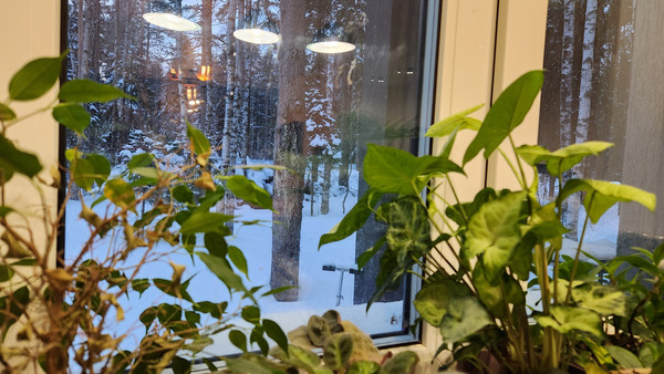 Объект по адресу Москва, Бор д 