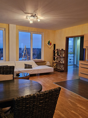 Объект по адресу Санкт-Петербург г, Дубковское ш, д. 38