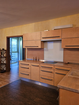 Объект по адресу Санкт-Петербург г, Дубковское ш, д. 38