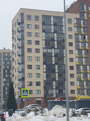 Объект по адресу Москва г, Рязановское п, Ерино д, Лесная ул, д. 15