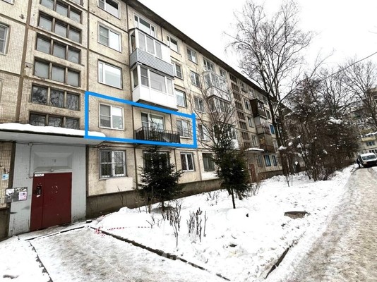 Объект по адресу Санкт-Петербург, Большая Пороховская ул, 36 