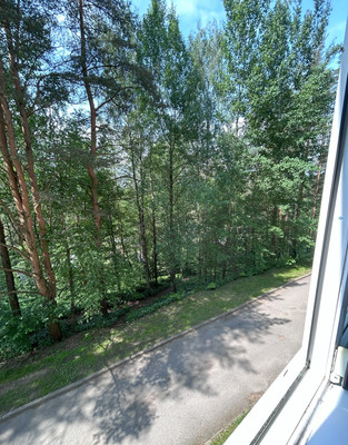 Объект по адресу Ленинградская обл, Всеволожский р-н, Кузьмоловский гп, Заозерная ул, д. 1