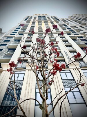 Фото квартиры по адресу Москва г, Академика Королева ул, д. 21