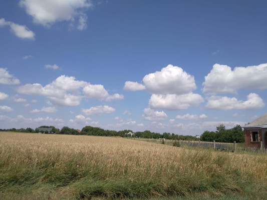 Объект по адресу Краснодарский край, Тихорецкий р-н, Алексеевская ст-ца, Школьная ул, д. 126