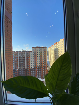 Фото квартиры по адресу Ленинградская обл, Всеволожский р-н, Шоссе в Лаврики ул, д. 76