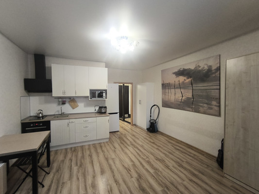 Объект по адресу Ленинградская обл, Всеволожский р-н, Новый Оккервиль мкр, Областная ул, д. 1