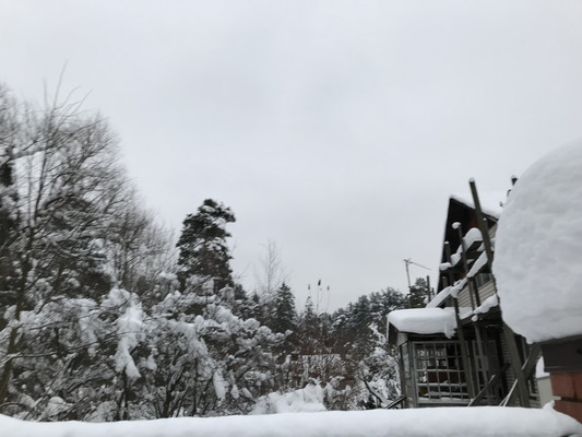 Объект по адресу Москва, Восточный пер 