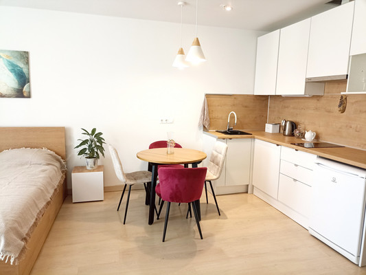 Объект по адресу Санкт-Петербург, Социалистическая ул, 21 