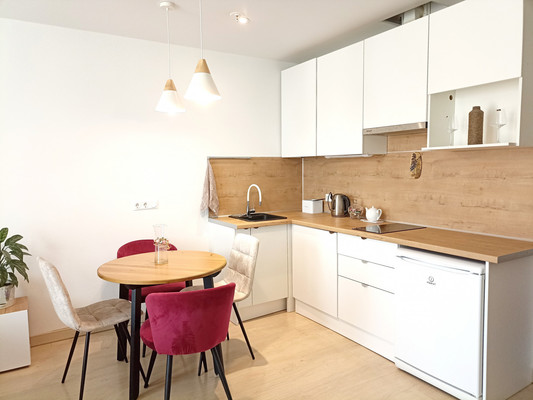 Объект по адресу Санкт-Петербург, Социалистическая ул, 21 