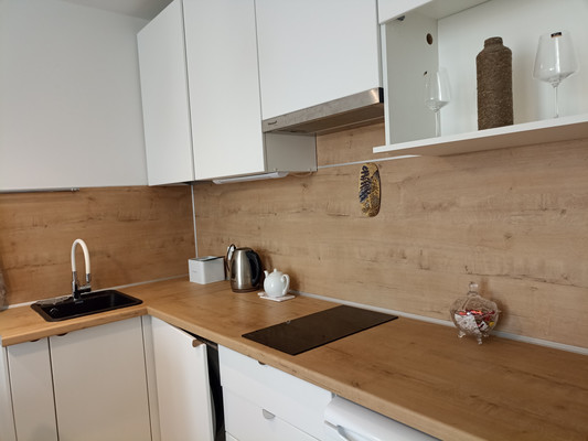 Фото квартиры по адресу Санкт-Петербург, Социалистическая ул, 21 