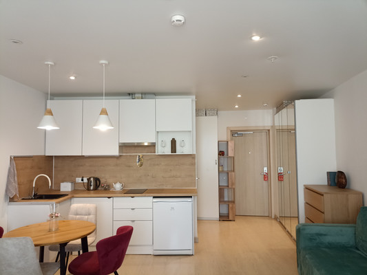 Фото квартиры по адресу Санкт-Петербург, Социалистическая ул, 21 