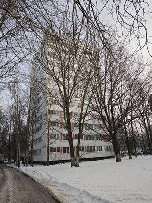 Объект по адресу Санкт-Петербург, Стойкости ул, 31А 