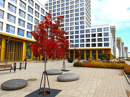 Объект по адресу Санкт-Петербург, Челюскина ул, 8к1 