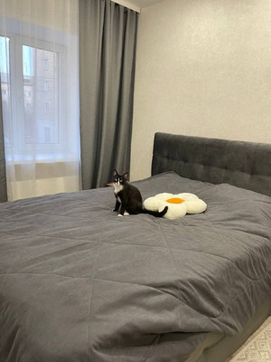 Объект по адресу Москва, Ленина/Парижской Коммуны ул, 29/30 