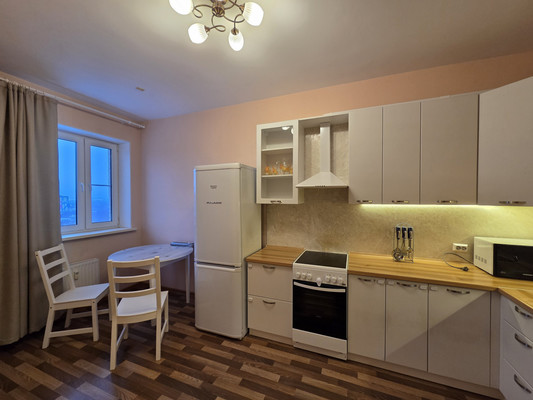 Объект по адресу Ленинградская обл, Всеволожский р-н, Новое Девяткино д, Флотская ул, д. 9