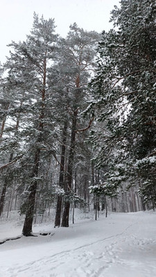 Объект по адресу Москва, 1-ый Школьный проезд 