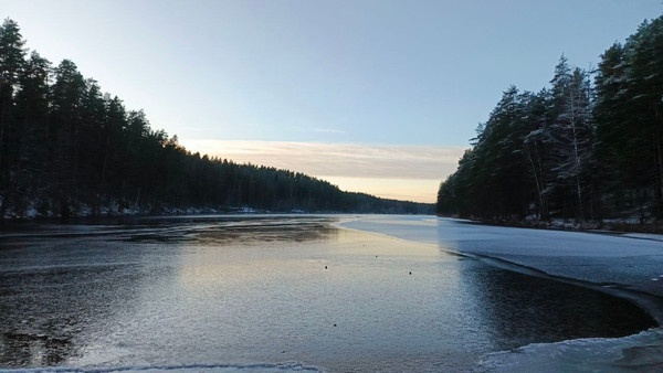 Объект по адресу Москва, 1-ый Школьный проезд 