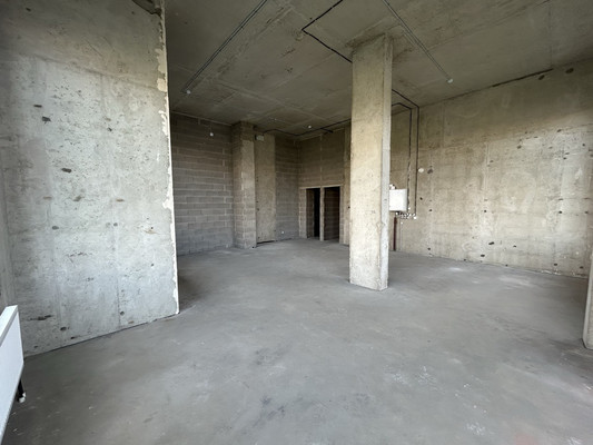 Объект по адресу Санкт-Петербург, Будённого пр-кт, 15к1 