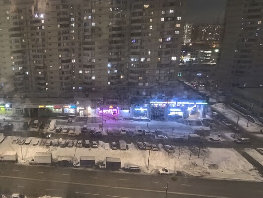 Объект по адресу Москва, Братиславская ул, 26 
