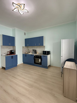 Объект по адресу Санкт-Петербург г, Авиаконструкторов пр-кт, д. 61