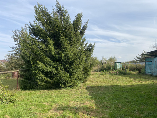 Объект по адресу Москва, Базулино д, 5 