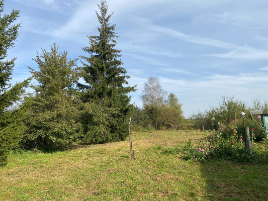 Объект по адресу Москва, Базулино д, 5 