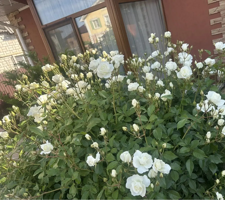 Объект по адресу Москва, Луганская ул, 51 