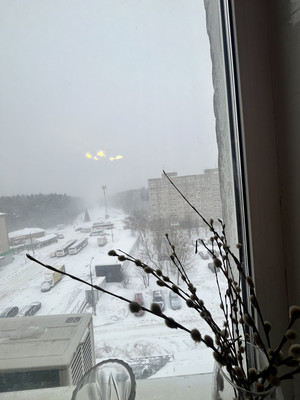 Фото квартиры по адресу Московская обл, Северово д, Подольская ул, д. 22