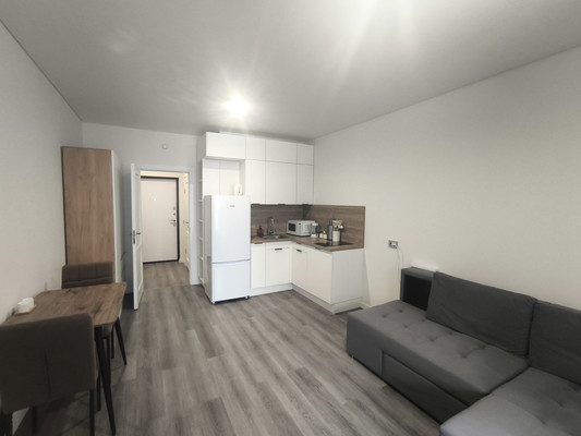 Объект по адресу Санкт-Петербург г, Дальневосточный пр-кт, д. 19к1