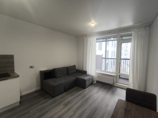 Объект по адресу Санкт-Петербург г, Дальневосточный пр-кт, д. 19к1