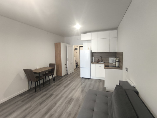 Объект по адресу Санкт-Петербург г, Дальневосточный пр-кт, д. 19к1