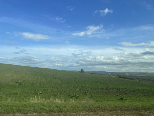 Объект по адресу Москва, Трудящихся ул, 61 