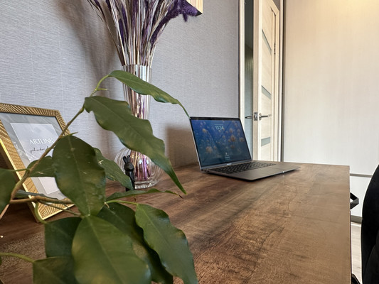 Объект по адресу Пермский край, Дзержинский р-н, Барамзиной ул, д. 54