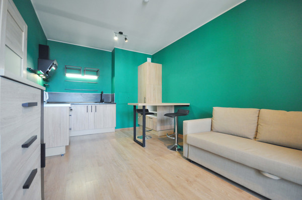 Фото квартиры по адресу Санкт-Петербург г, Ветеранов пр-кт, д. 173к7