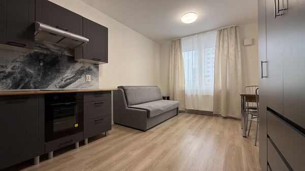 Объект по адресу Санкт-Петербург, Пахомовская ул, 10к3 