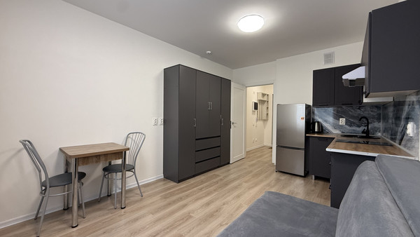 Объект по адресу Санкт-Петербург, Пахомовская ул, 10к3 