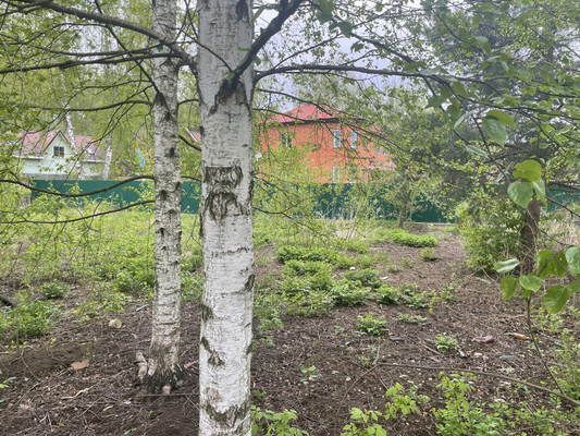 Объект по адресу Москва, СНТ Пенсионер тер 