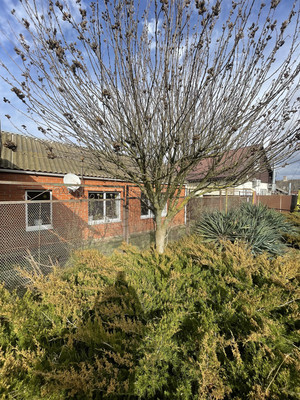 Объект по адресу Москва, Мира ул, 76 