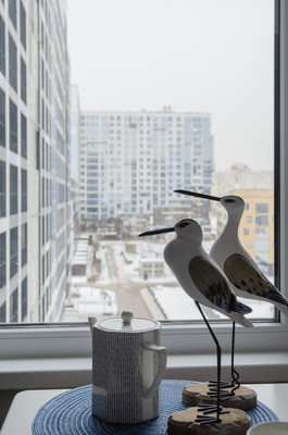 Фото квартиры по адресу Санкт-Петербург г, Вилькицкий б-р, д. 4