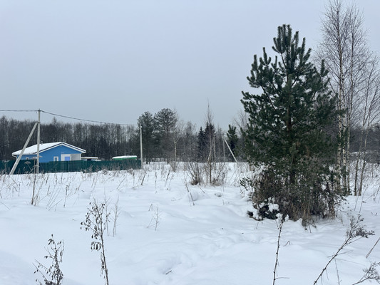 Объект по адресу Москва, Рынделево д 