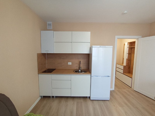 Объект по адресу Санкт-Петербург, Пахомовская ул, 23 