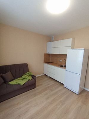 Объект по адресу Санкт-Петербург, Пахомовская ул, 23 