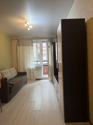 Объект по адресу Санкт-Петербург г, Орджоникидзе ул, д. 52