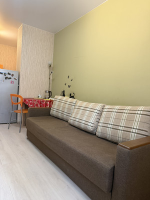 Объект по адресу Санкт-Петербург г, Орджоникидзе ул, д. 52