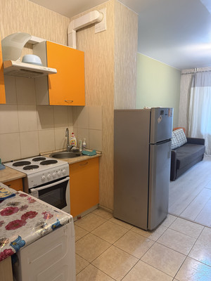 Объект по адресу Санкт-Петербург г, Орджоникидзе ул, д. 52