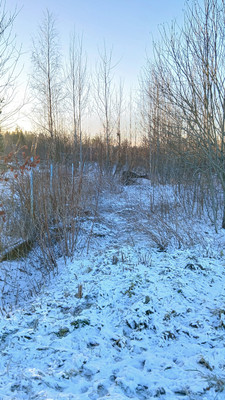 Объект по адресу Москва, Хиттолово д 