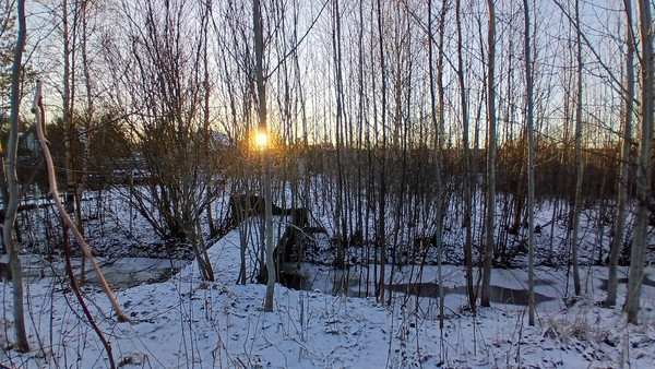 Объект по адресу Москва, Хиттолово д 