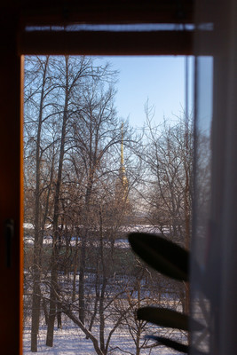 Объект по адресу Санкт-Петербург, Кронверкский пр-кт, 65А 